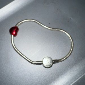 Pandora bracelet and charm